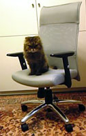 chair.jpg (9029 oCg)