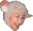 sheep-s3.jpg (10975 oCg)