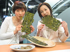 2005.8.14.jpg (11293 oCg)