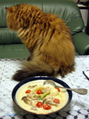 stew.jpg (8891 oCg)